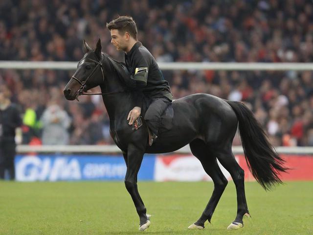 开云体育_ 德甲转会市场观察：谁是潜在的黑马？，德甲开幕