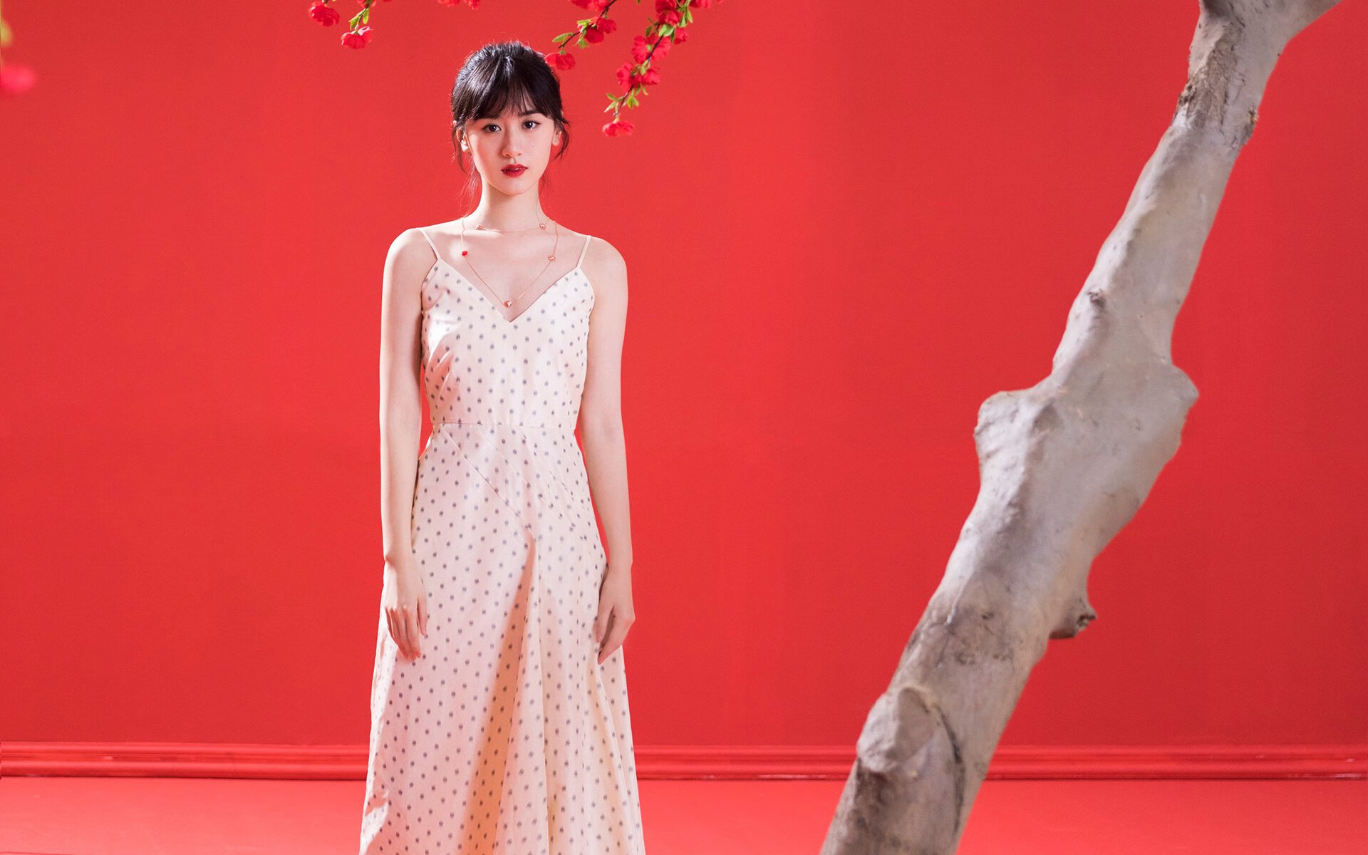 英超：曼城3-1诺维奇，哈兰德双响助球队稳步前行，曼城对诺维奇历史战绩