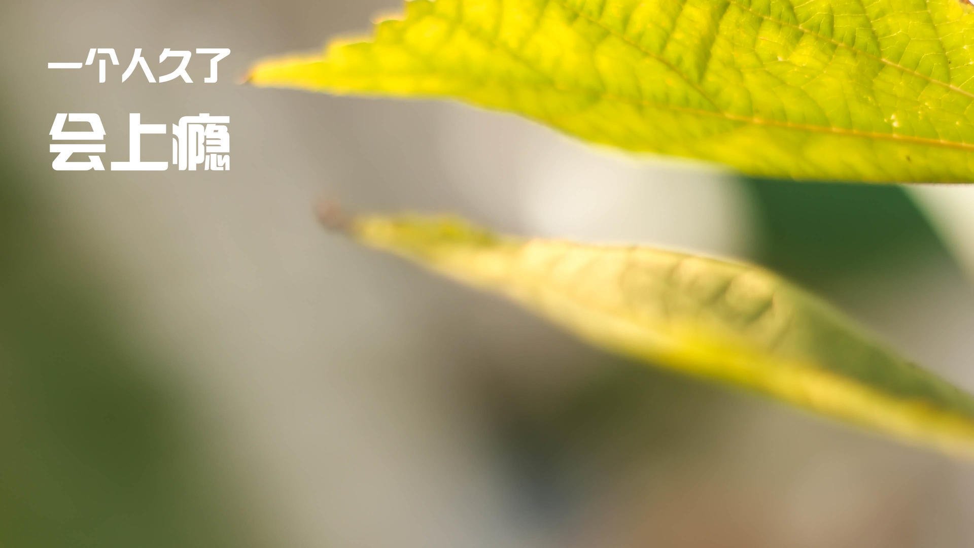 腾讯主导电竞赛事标准制定，腾讯电竞布局