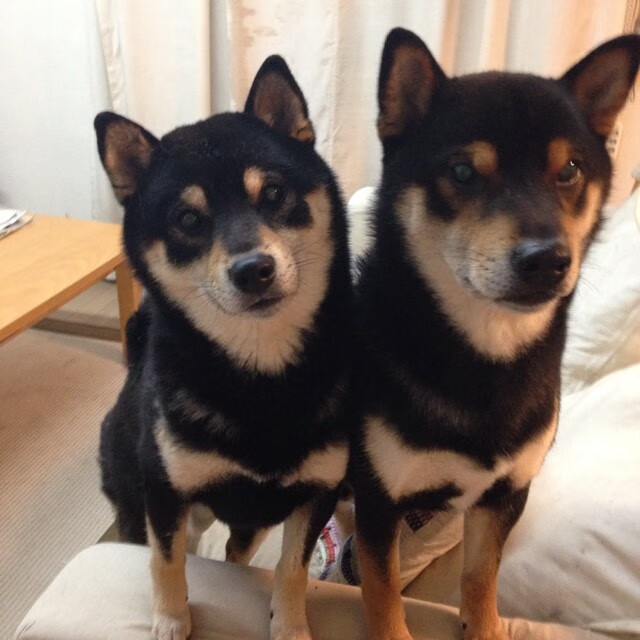 世界杯预选赛中国青年队战平 战术调整成焦点，2022世界杯预选赛中国队赛程时间表一览