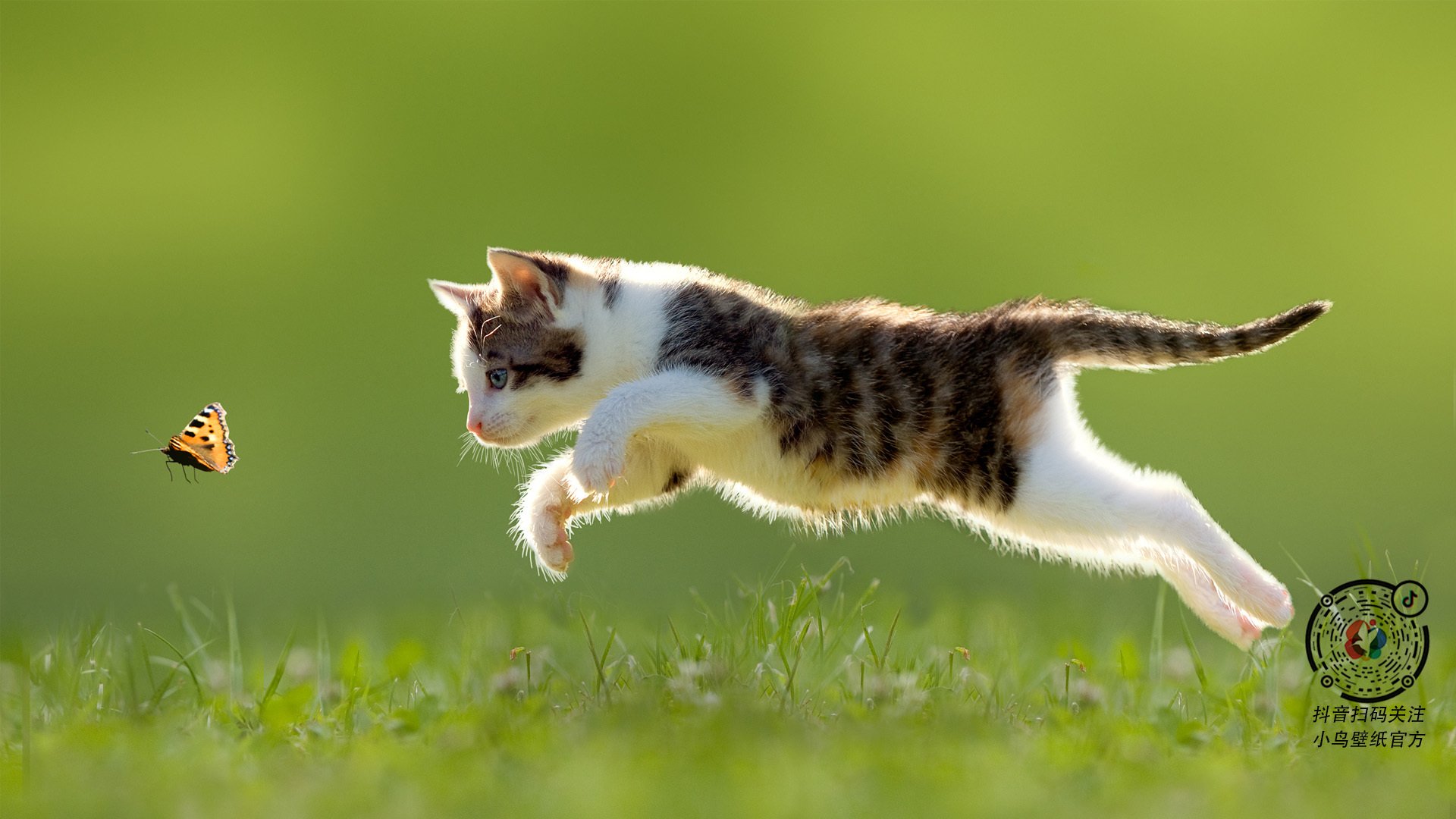 冰雪运动研学项目助力青少年寒假实践体验,学校冰雪研学活动主题