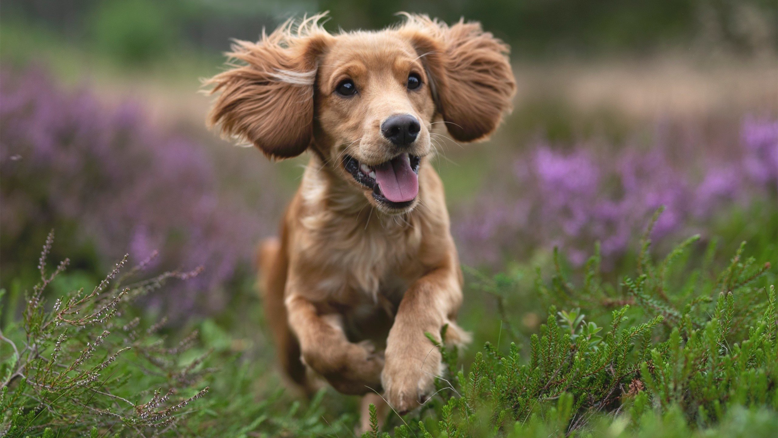 中超俱乐部搭建线上亲子课堂拉近球员家庭距离