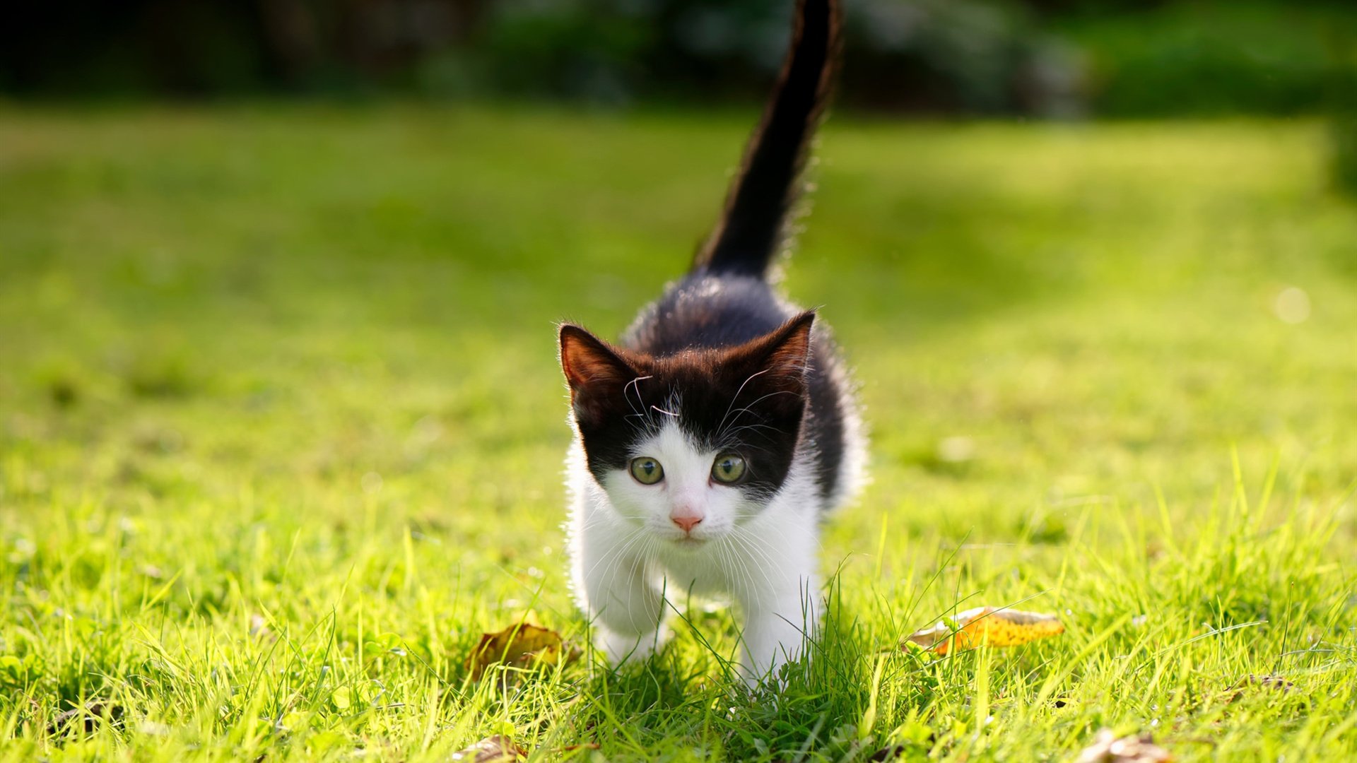 艾比·德尔福：全场最佳防守员，守住南非队的领先优势，艾比里德尔晋江